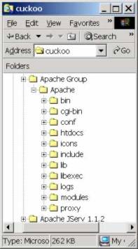 Explorer window with Apache directory structure